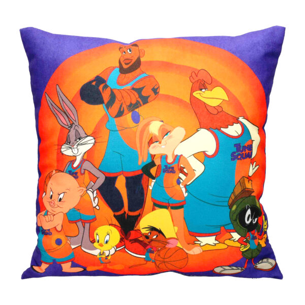 *Cojin cuadrado tune squad team space jam looney tunes