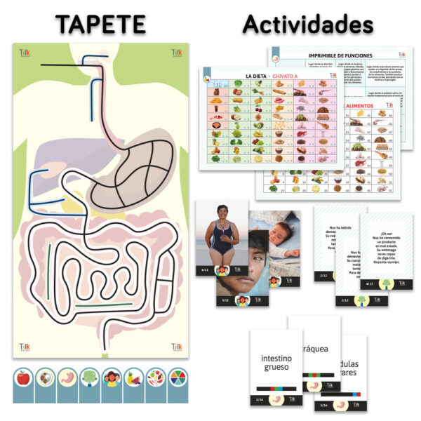 *Pack aparato digestivo tilk ozobot tapete + actividades